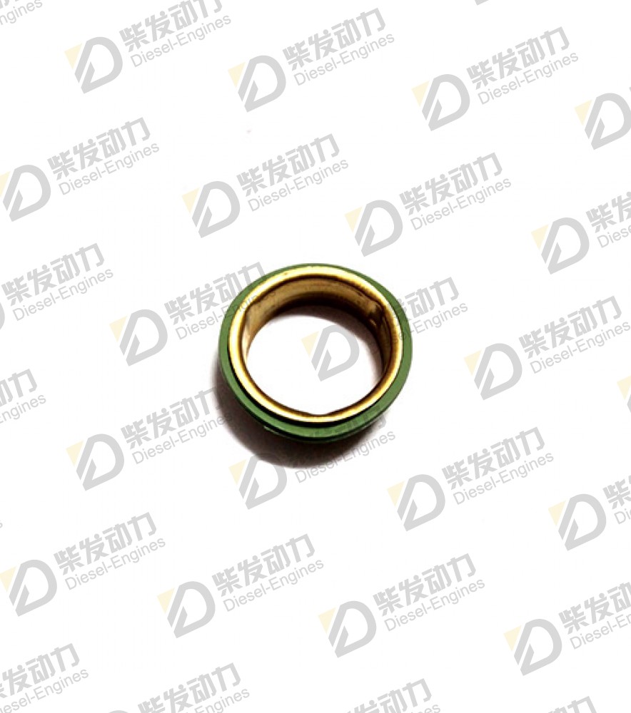 Sealing ring 465784 